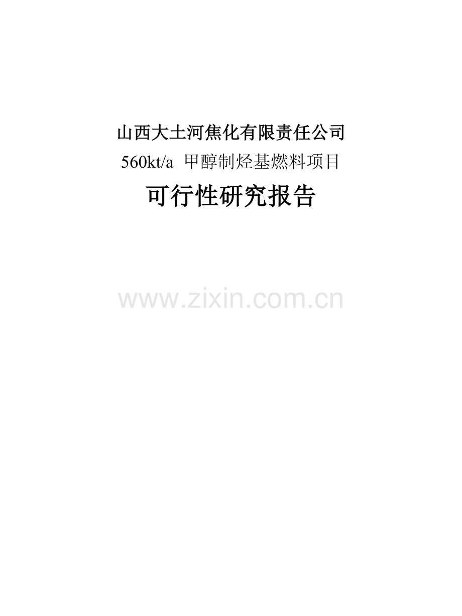甲醇制烃基燃料项目可行性研究报告.doc_第1页