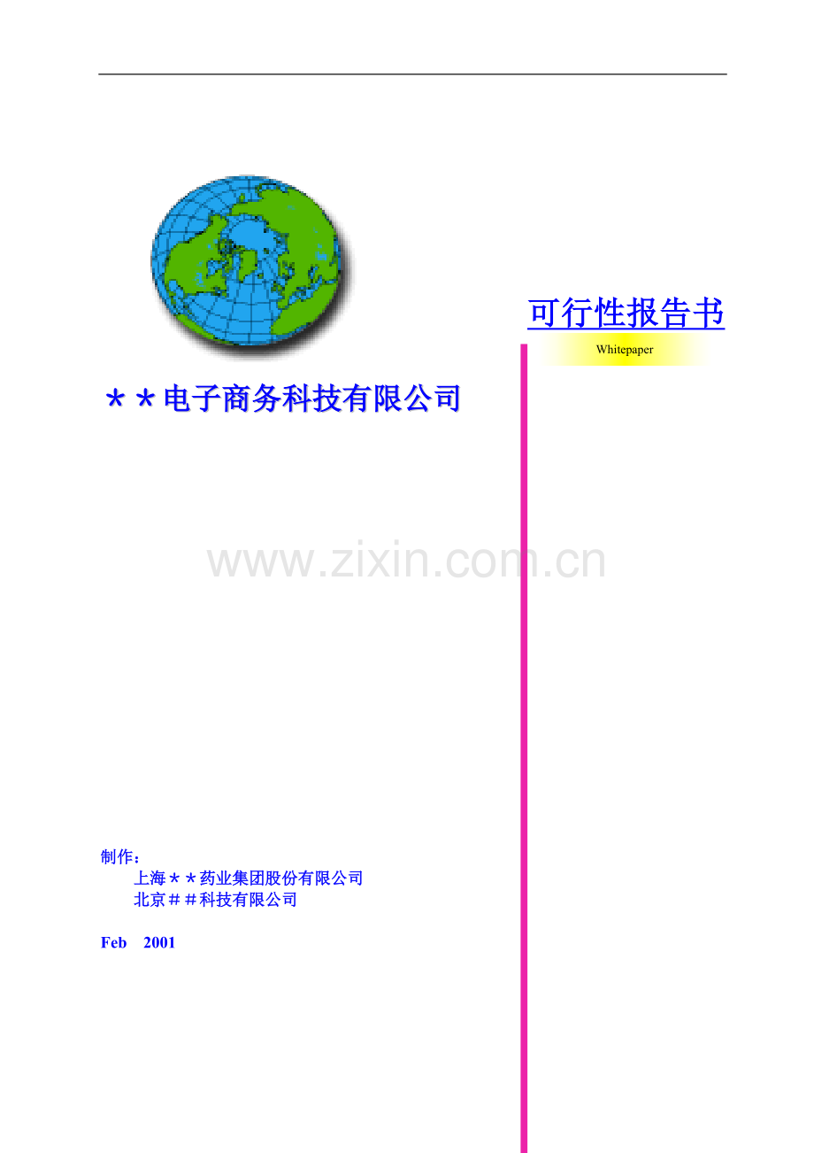 xx电子商务科技有限公司可行性论证报告(医药公司).doc_第1页