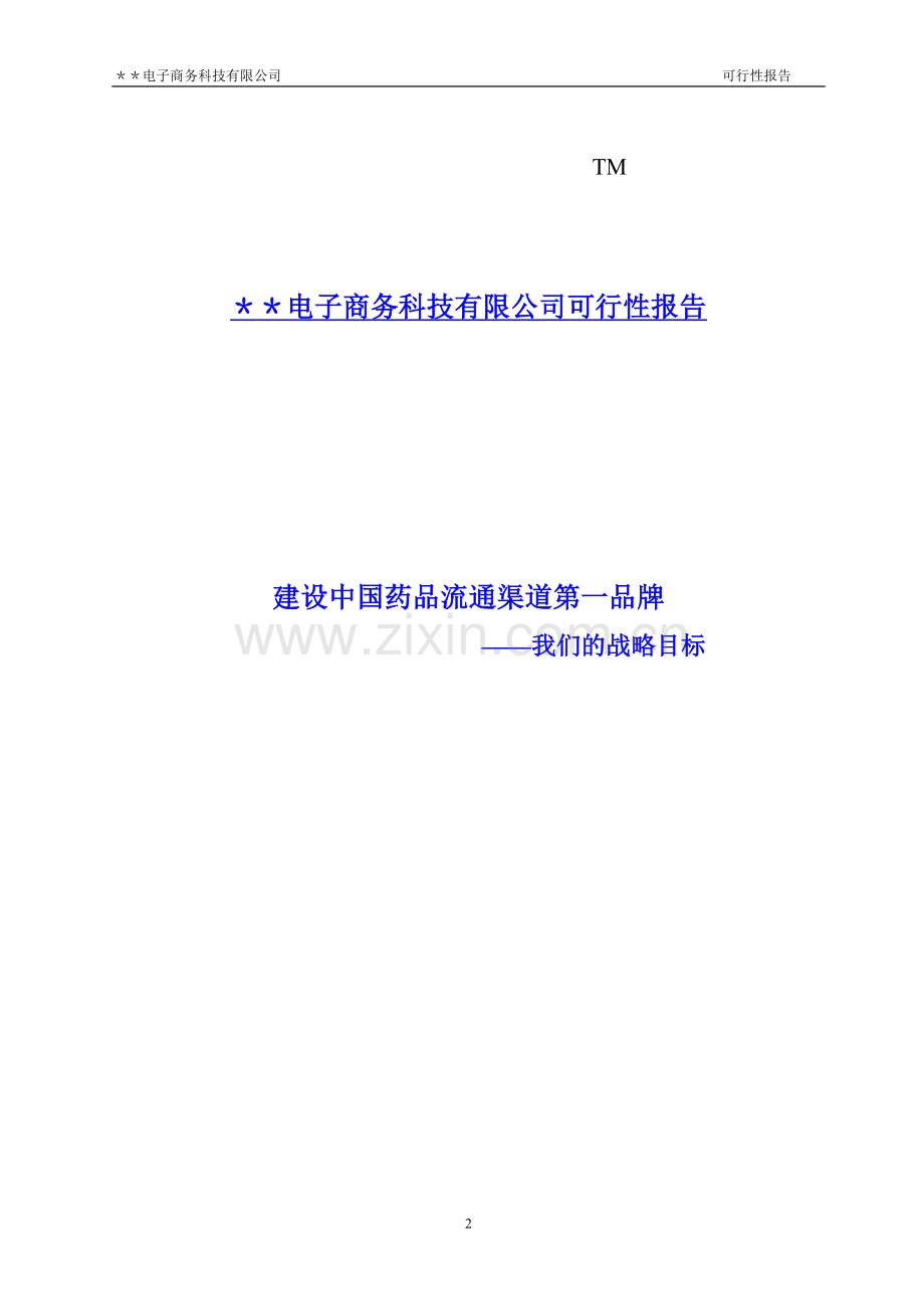 xx电子商务科技有限公司可行性论证报告(医药公司).doc_第2页