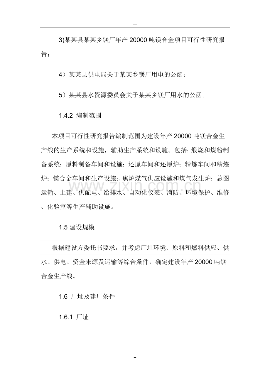 某某公司年产20000吨镁合金项目可行性分析报告.doc_第2页