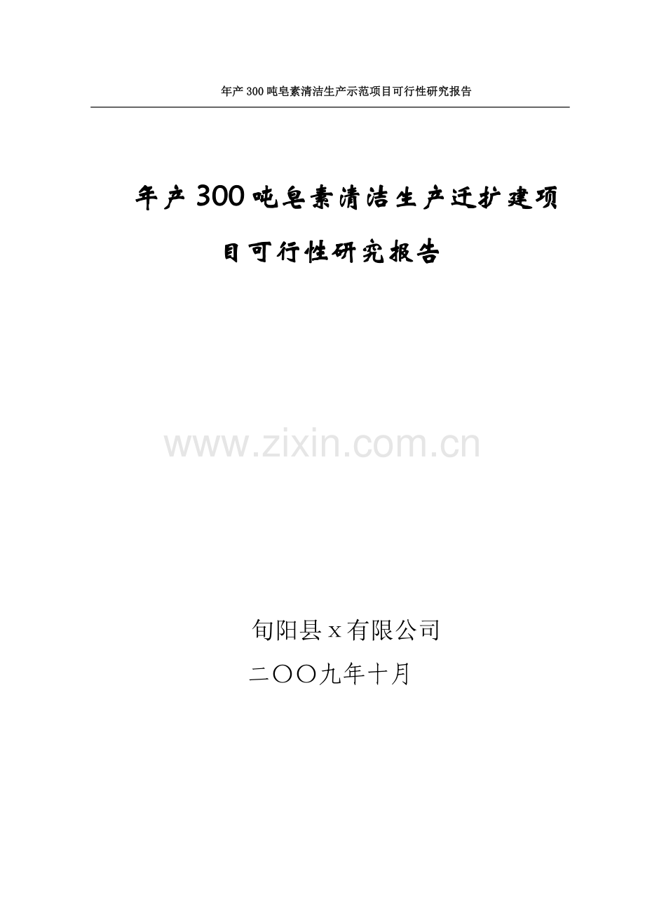 年产300吨皂素清洁生产迁扩建项目可行可行性分析报告.doc_第1页