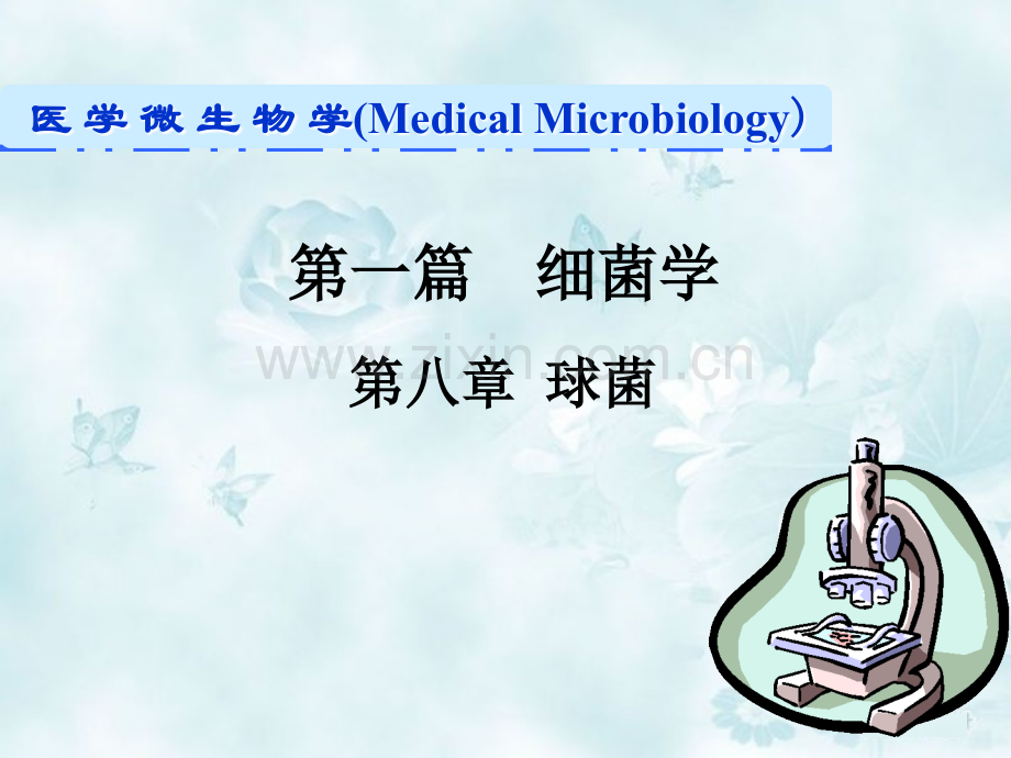 08球菌医学PPT课件.ppt_第1页