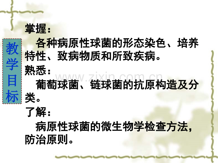 08球菌医学PPT课件.ppt_第2页