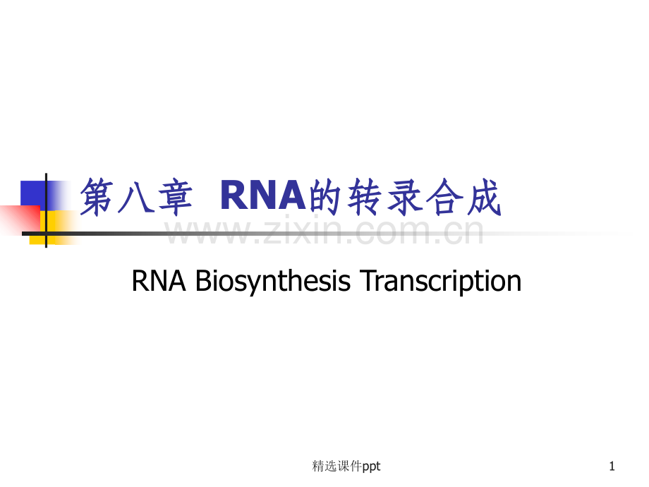 《RNA的转录合成》PPT课件.ppt_第1页