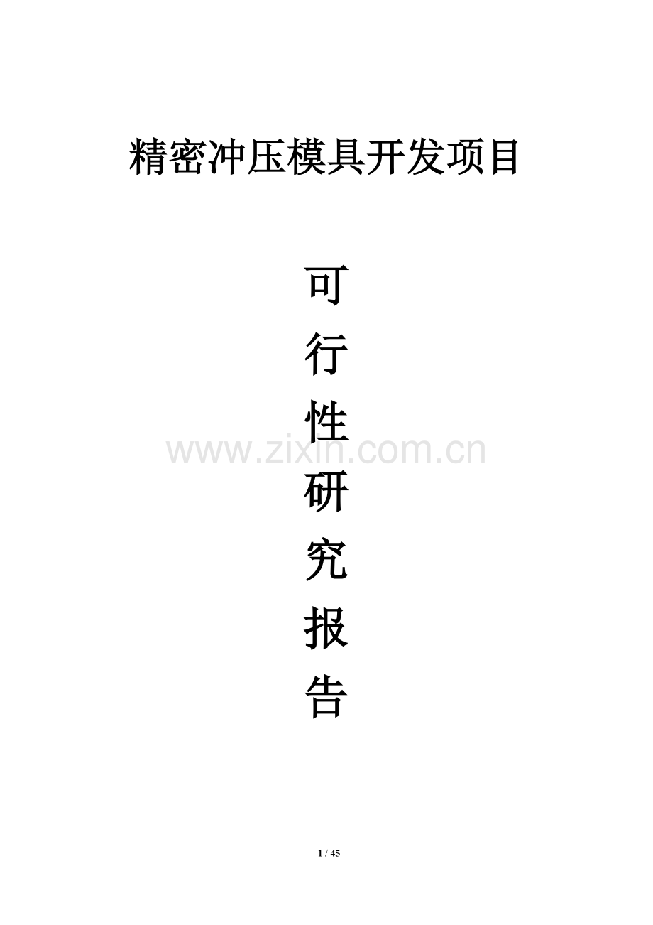精密冲压模具项目可行性论证报告.doc_第1页