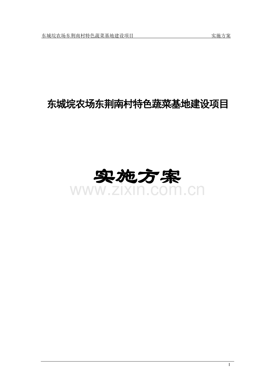 东城垸农场东荆南村特色蔬菜基地建设项目实施方案---策划方案.doc_第1页