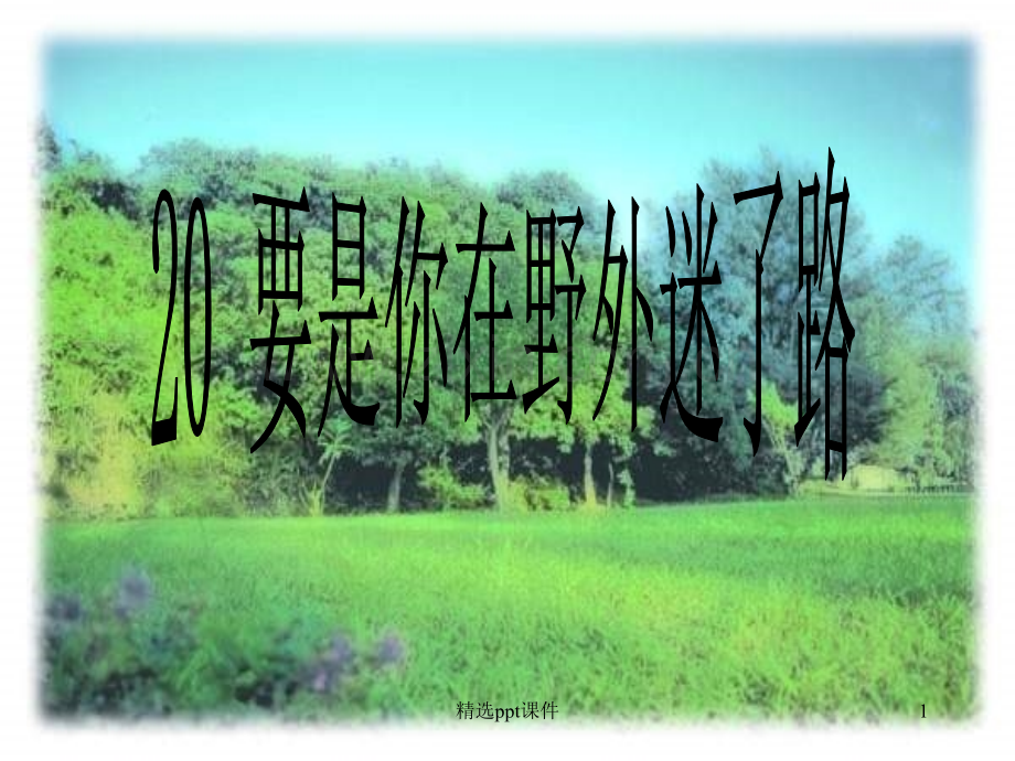 人教版小学二年级语文下册第20课《要是你在野外迷了路》课件PPT课件.ppt_第1页
