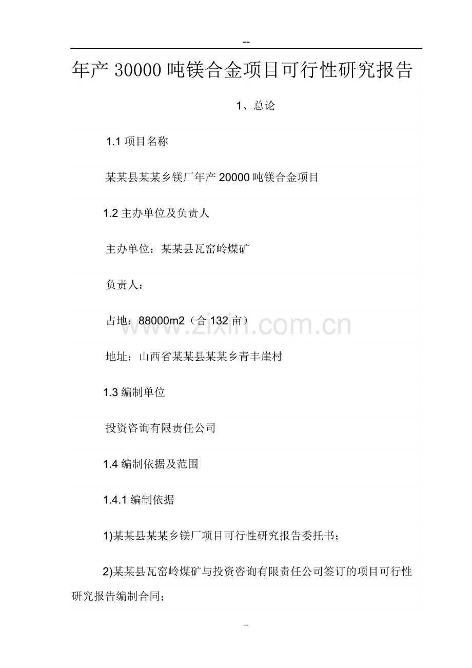 年产30000吨镁合金可行性论证报告.doc_第1页