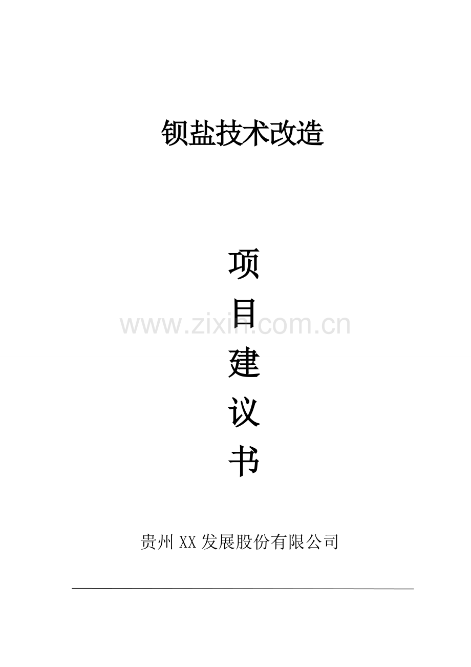 钡盐技术改造项目可行性研究报告书.doc_第1页