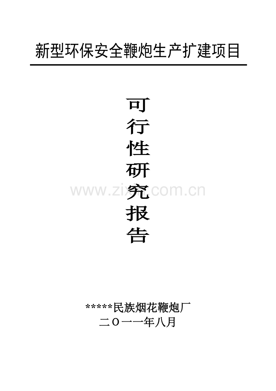新型环保安全鞭炮生产扩建项目可行性论证报告.doc_第1页