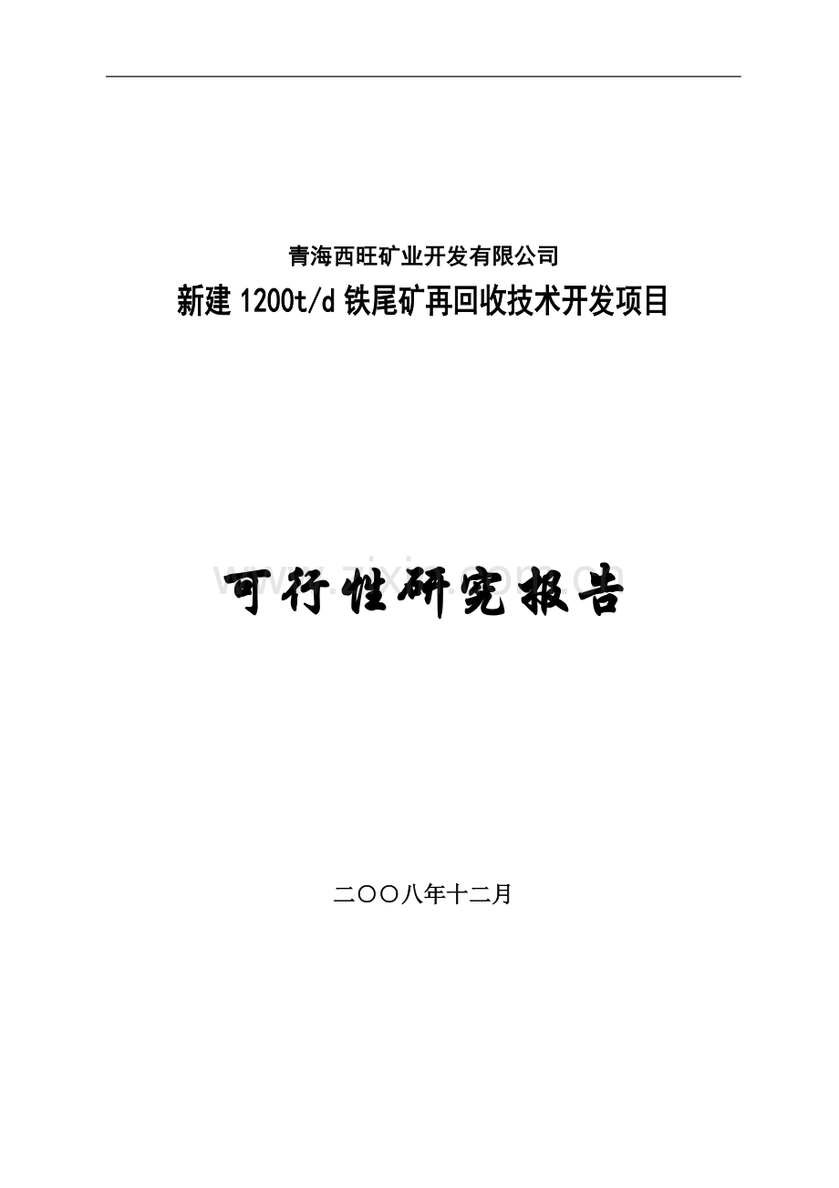 新建1200td铁尾矿再回收技术开发项目建设可行性研究报告.doc_第1页