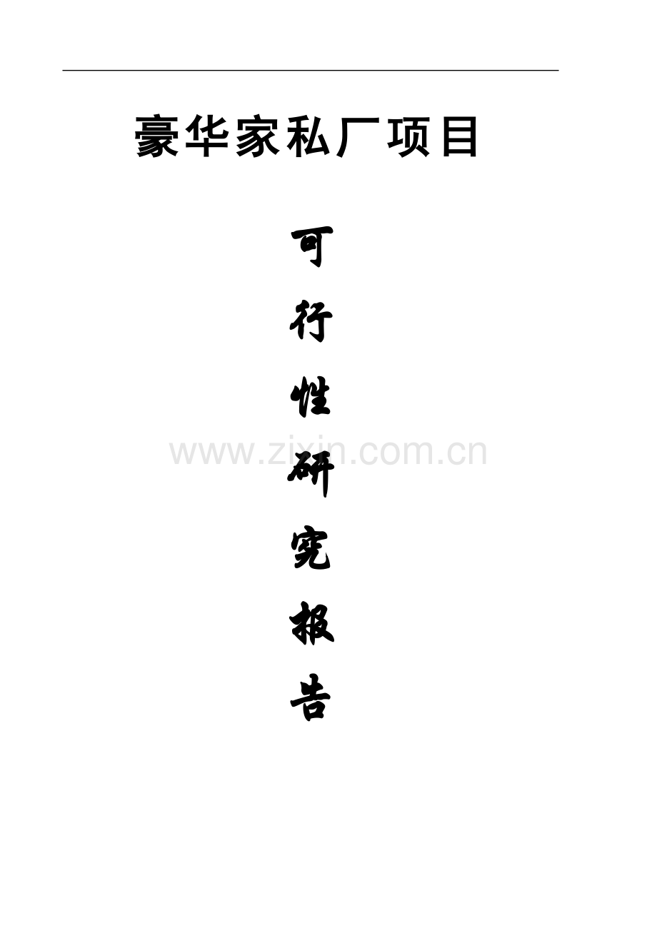 豪华家私厂项目可行性策划书.doc_第1页