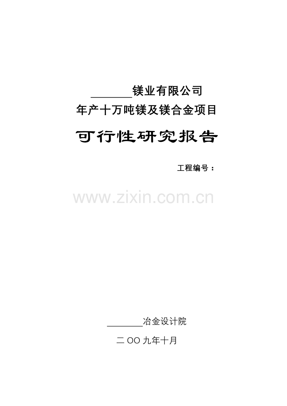 年产十万吨镁及镁合金可行性研究论证报告.doc_第1页