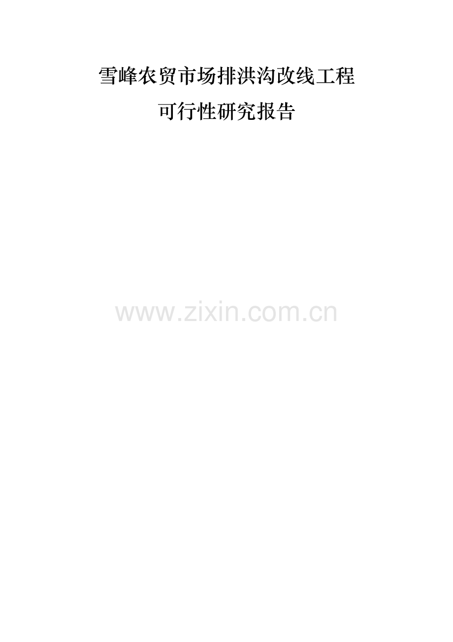 雪峰农贸市场排洪沟改线工程项目可行性研究报告.doc_第1页