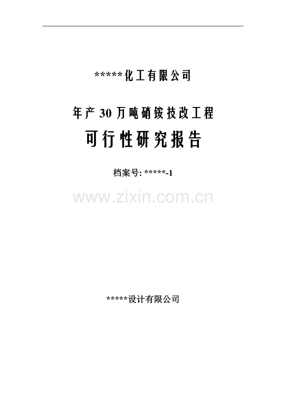 年产30万吨硝铵技改工程可行性策划书.doc_第1页