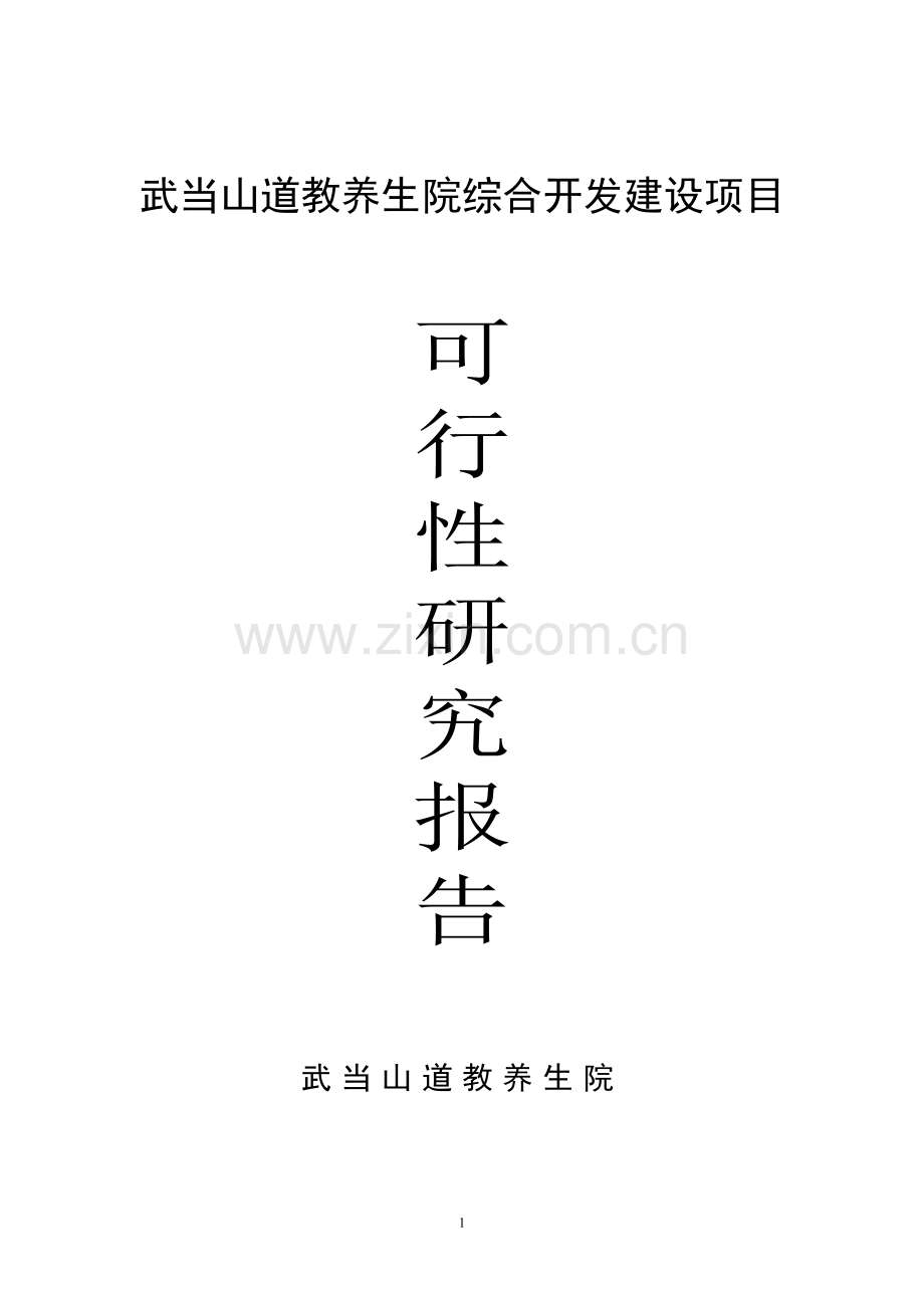 武当山道教养生院可行性研究报告.doc_第1页
