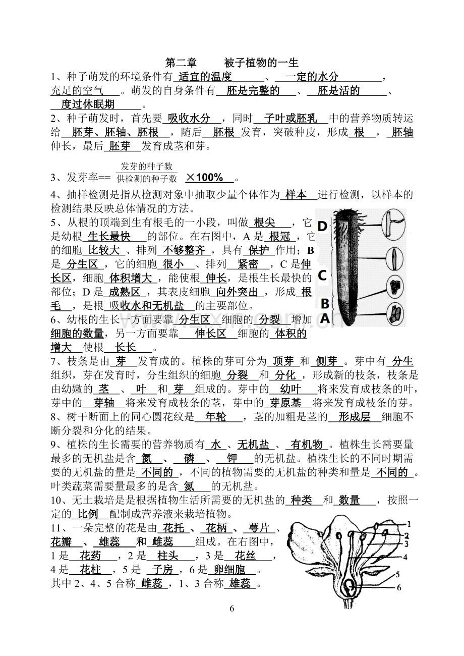 七年级上册生物第三单元复习提纲(答案).doc_第2页
