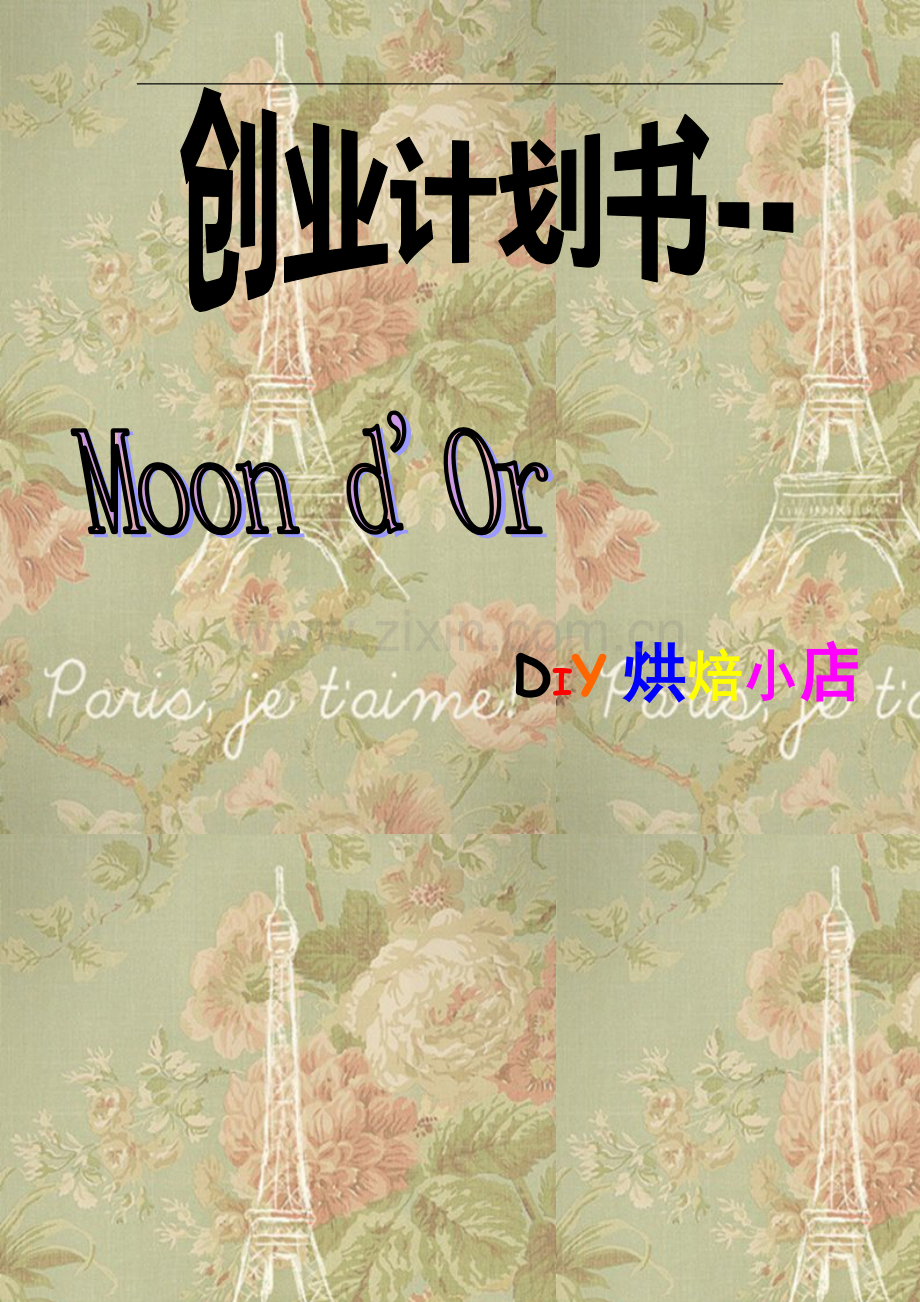 diy烘焙小店可行性研究报告.doc_第1页