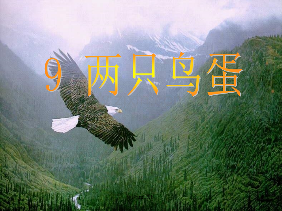 人教版小学一年级语文下册两只鸟蛋ppt课件.ppt_第1页