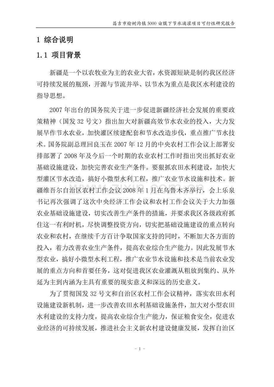 昌吉市榆树沟镇5000亩膜下节水滴灌项目投资可行性研究报告.doc_第1页