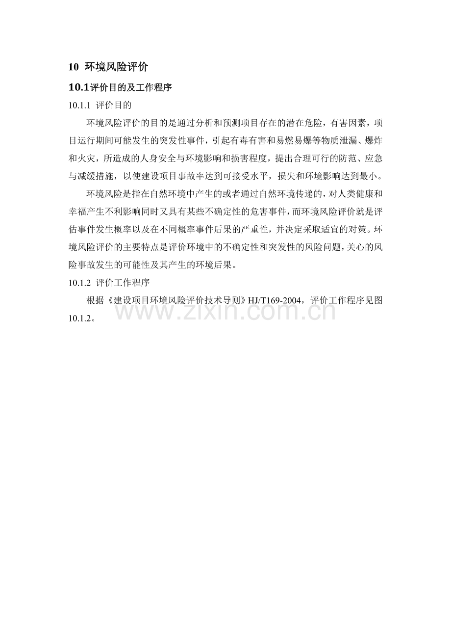 某石化项目环境风险评价专题报告书.doc_第1页