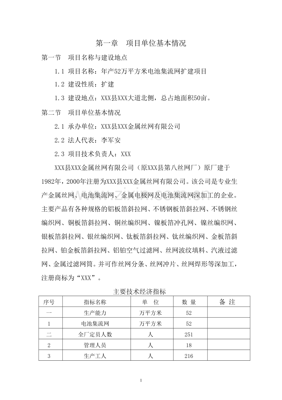 年产52万平方米电池集流网扩建项目可行性研究报告.doc_第1页