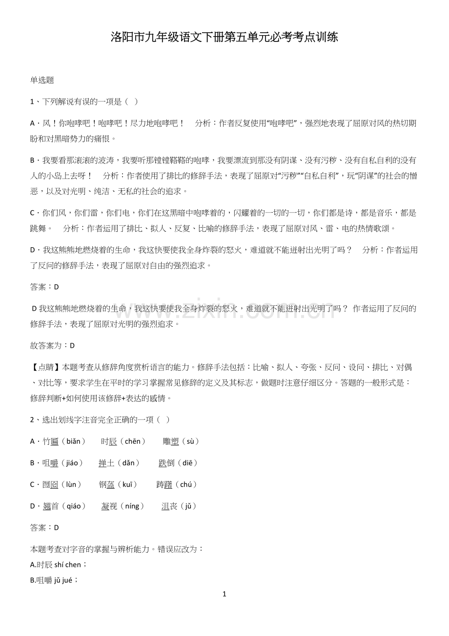 洛阳市九年级语文下册第五单元必考考点训练.docx_第1页