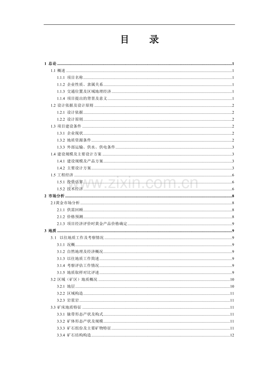 隆回金矿采、选系统(300td)改扩建工程可行性分析报告.doc_第1页