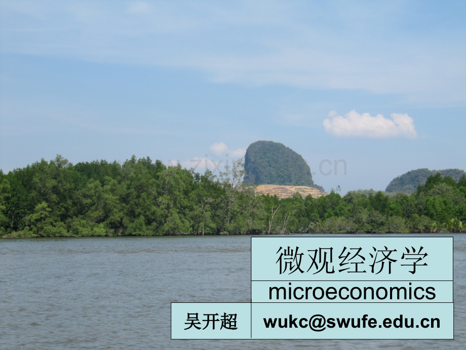微观经济学-.ppt_第1页