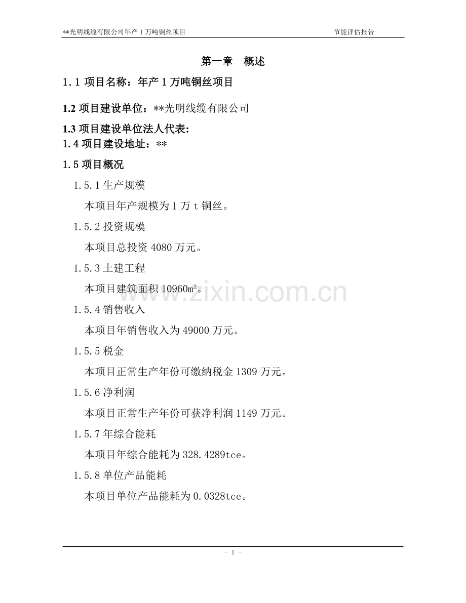 线缆有限公司年产1万吨铜丝项目节建设节能评估休.doc_第1页