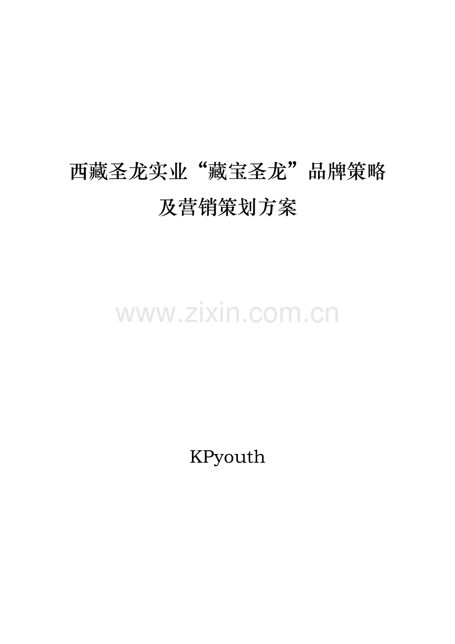 西藏圣龙实业-藏宝圣龙-品牌策略及营销谋划方案.doc_第1页