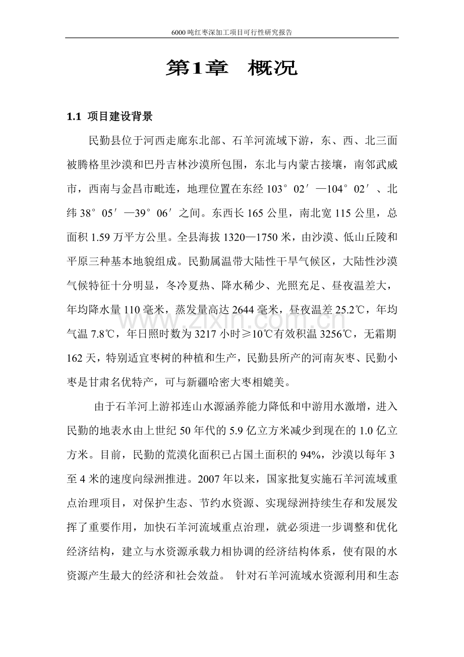 6000吨红枣深加工项目建设可研报告.doc_第1页