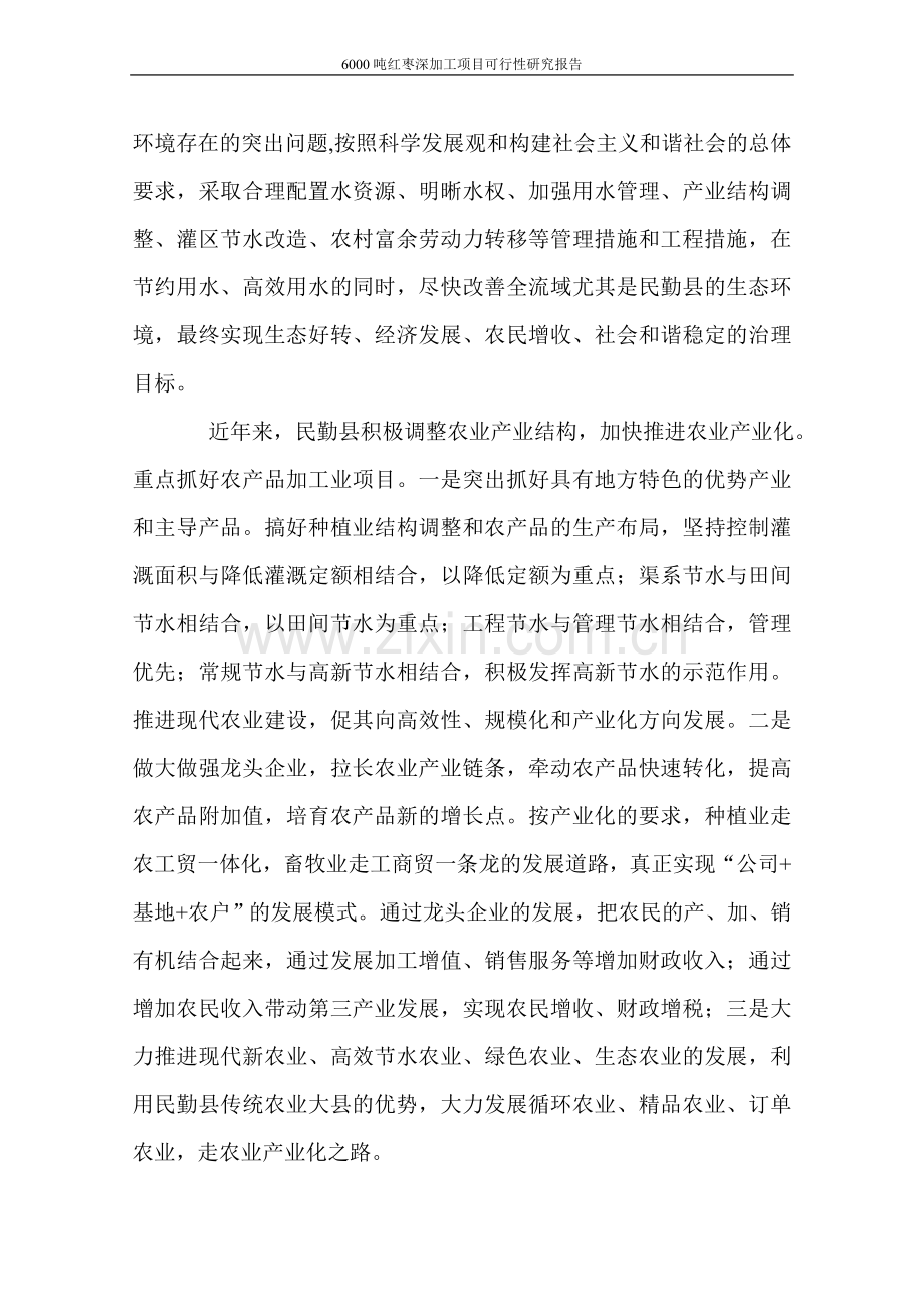 6000吨红枣深加工项目建设可研报告.doc_第2页