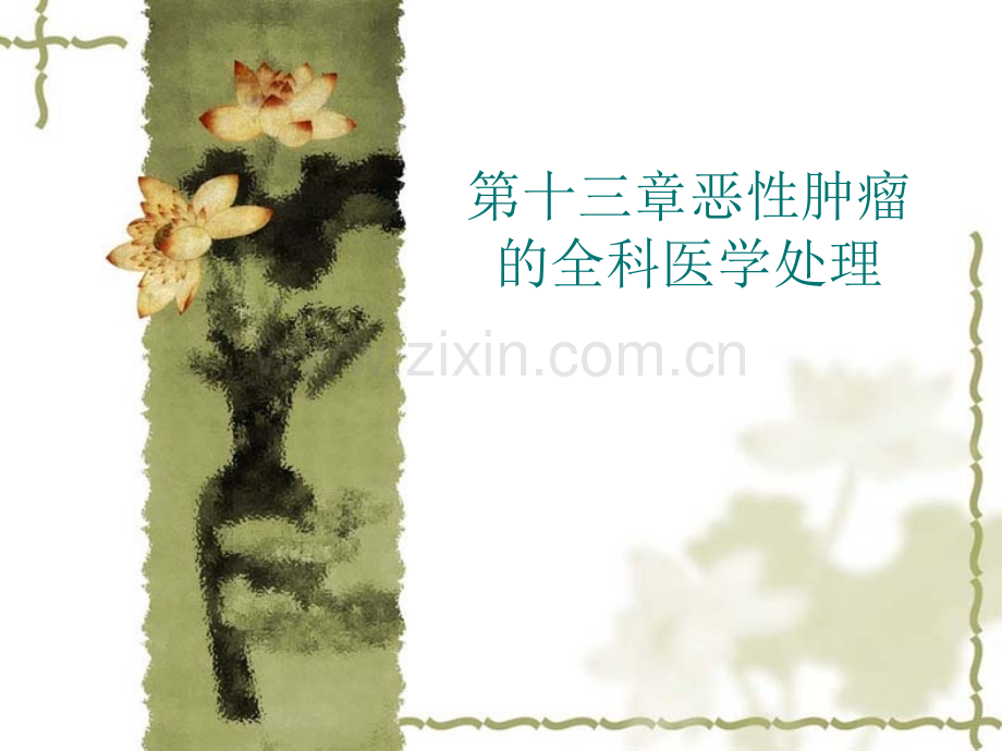 13恶性肿瘤的全科处理PPT医学PPT课件.ppt_第1页