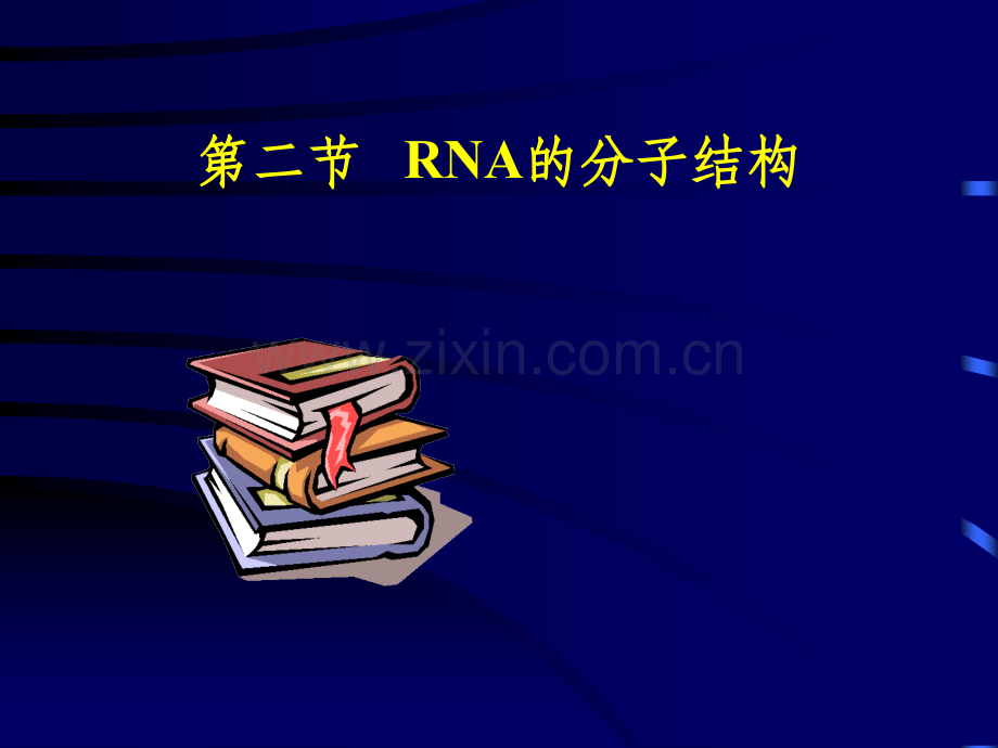《RNA的分子结构》PPT课件.ppt_第1页