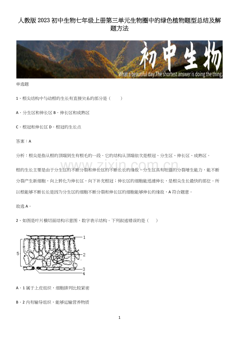 人教版2023初中生物七年级上册第三单元生物圈中的绿色植物题型总结及解题方法.docx_第1页