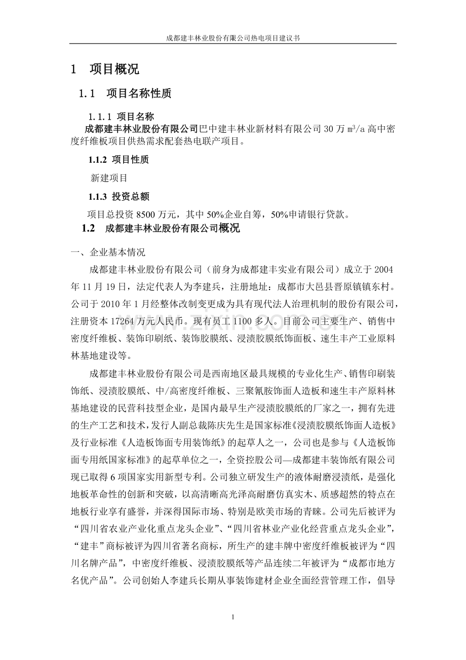 成都建丰林业股份有限公司热电可研报告.doc_第2页