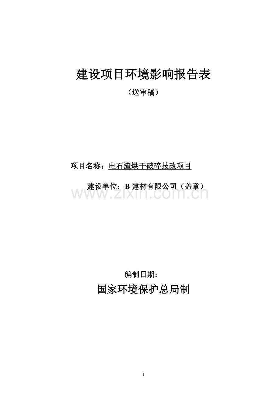 某公司电石渣综合利用项目可行性策划书报告表.doc_第1页