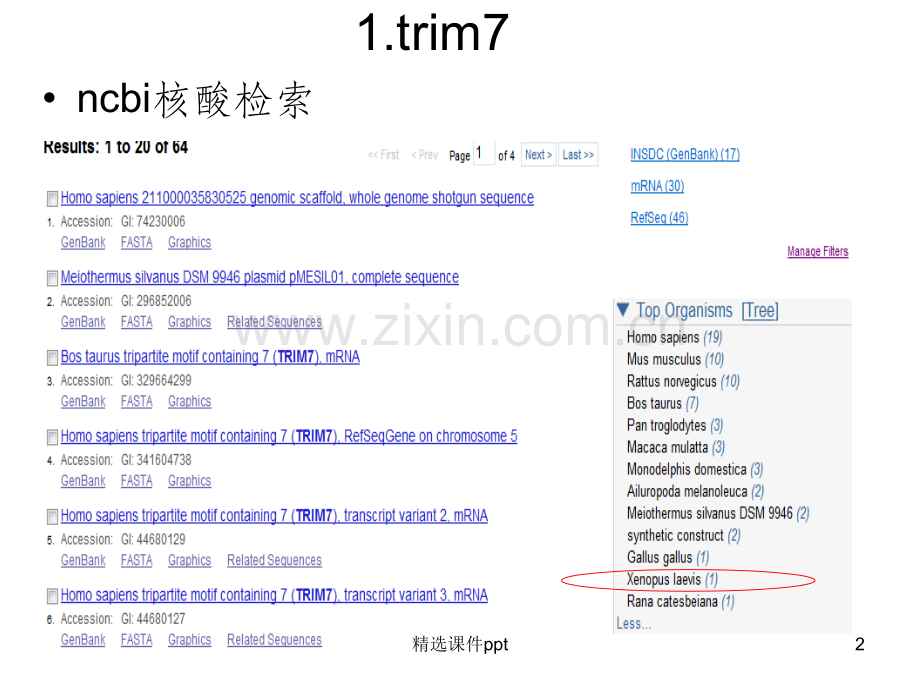 《rim基因讲》PPT课件.ppt_第2页