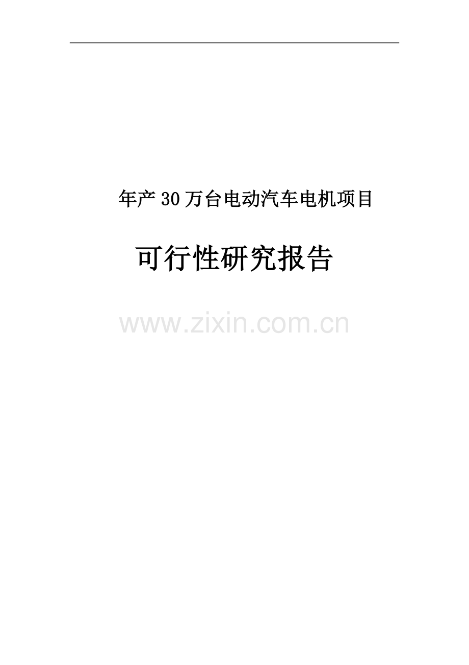 年产30万台电动汽车电机项目可行性研究报告.doc_第1页