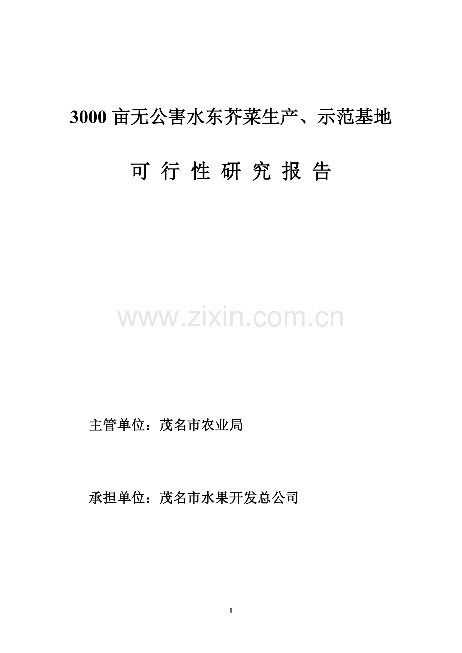 3000亩水东芥菜基地可行性论证报告.doc_第1页