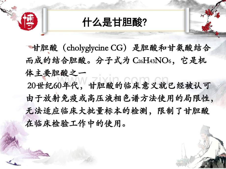 甘胆酸课件医学PPT课件.ppt_第2页