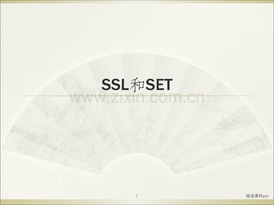 《SSL和SE》PPT课件.ppt_第1页