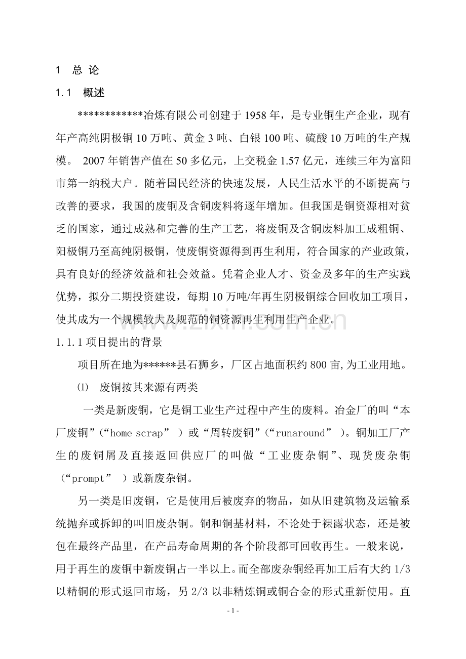 年产20万吨电解铜项目可行性策划书.doc_第1页