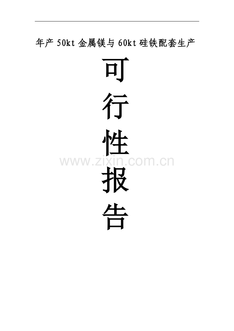 年产50kt金属镁与60kt硅铁配套生产项目可行性策划书.doc_第1页