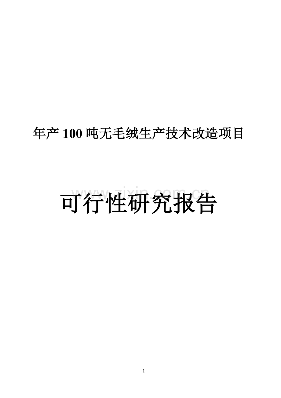 年产100吨无毛绒生产技术改造项目可行性研究报告.doc_第1页