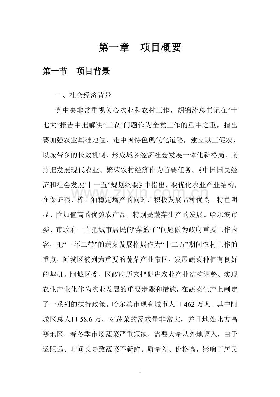 阿城区阿什河蔬菜基地项目可行性策划书.doc_第1页