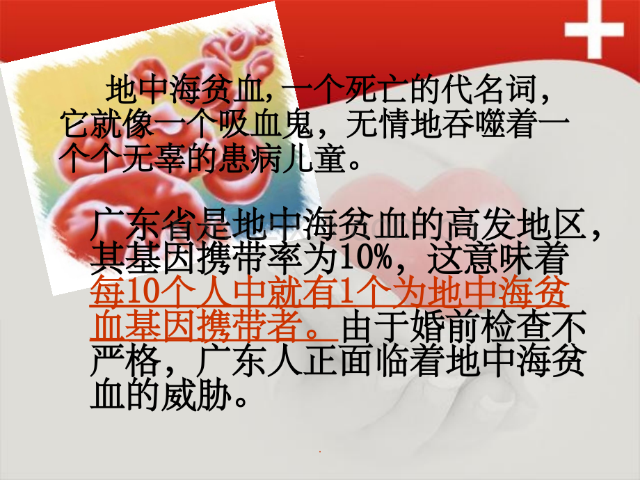 地中海贫血宣传.ppt_第2页