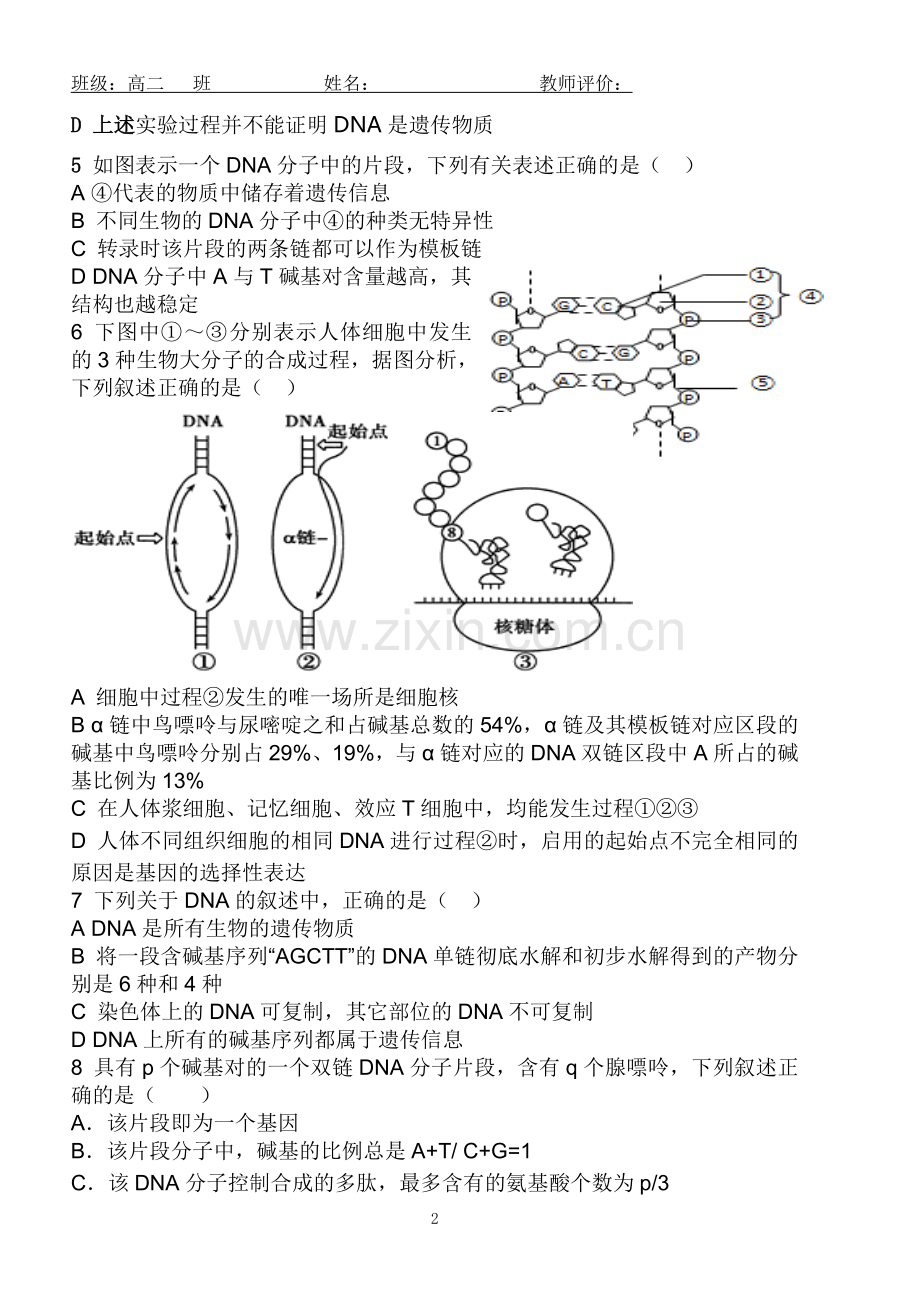 必修二生物第三章、第四章综合训练.doc_第2页