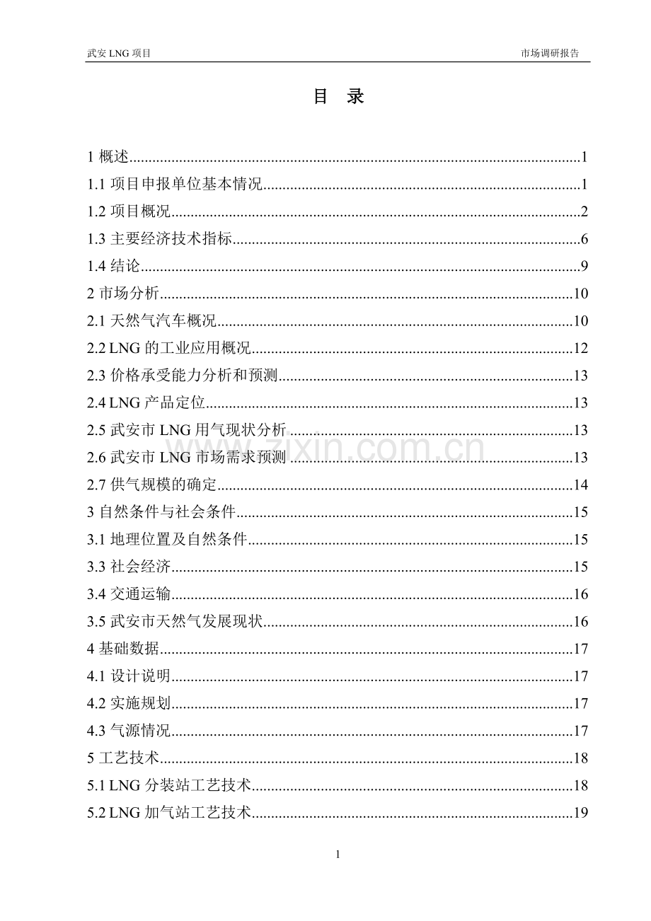 武安市LNG项目市场调研报告.doc_第1页